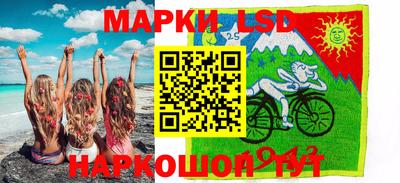 гашик Будённовск