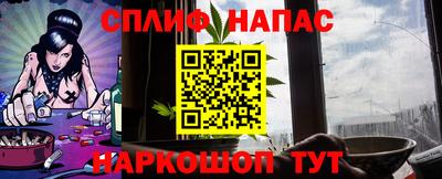 гашик Будённовск