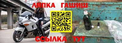 гашик Будённовск