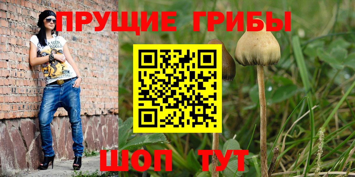 Галлюциногенные грибы ЛСД Лысьва