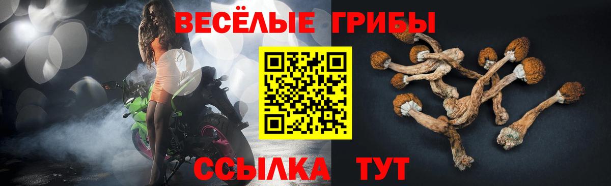 Лысьва  где купить   Вход с VPN  Псилоцибиновые грибы Psilocybine cubensis 